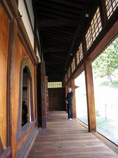 IMG_2065.jpg