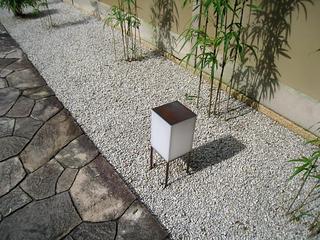 IMG_2347.jpg
