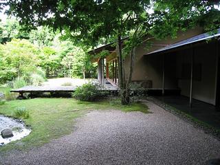 IMG_2362.jpg
