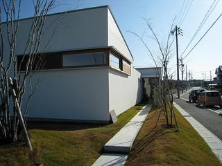 IMG_3679.jpg