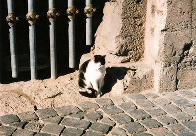 rome18.jpg